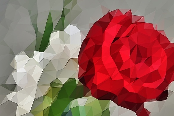 포토 JPG 해외이미지 모양 식물 디자인 꽃 포스터 분홍색 백그라운드 컨셉 꽃무늬 일러스트 자연 추상 발렌타인데이 미술 사람없음 컴퓨터그래픽 그래픽 장식 여름 장미 노란색 봄 수확 벚꽃 개화 삼각형 백합 심볼 질감 날카로움 모자이크 기하학 내추럴 고립 폴리곤 해외202008 해외포토 도형 계절 컬러 무늬 농업 데이이벤트 문화예술 생태계 파일형식