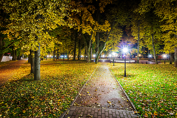 포토 JPG 해외이미지 나무 식물 계절 공원 유럽 도로 길 백그라운드 단풍 잎 벤치 거리 풍경 사람없음 야외 초록색 빛 도시풍경 노란색 정원 어둠 새벽 가을 등불 도시 보행로 야간 저녁 숲 오솔길 타일 정사각형 러시아 장면 타운 빛망울 10월 해외202008 해외포토 자연요소 도형 공공시설 나라 컬러 의자 교통시설 조명 날짜 파일형식