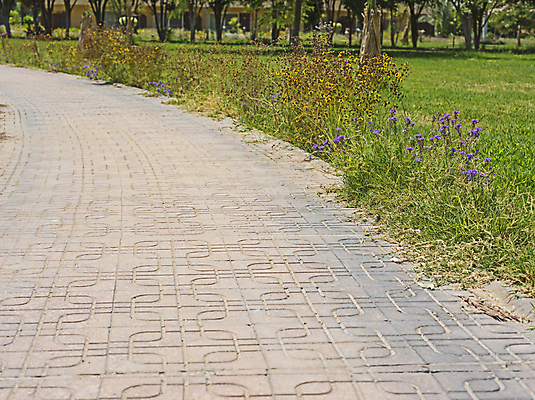 포토 JPG 해외이미지 나무 식물 공원 길 자연 풍경 사람없음 야외 장식 초록색 여름 정원 침묵 전원 시골 개화 오솔길 해외202008 해외포토 계절 공공시설 꽃 컬러 소리 전기에너지 생태계 파일형식