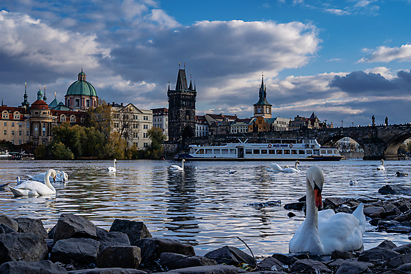 포토 JPG 해외이미지 A 공화국 해외202008 해외포토 알파벳 나라 파일형식