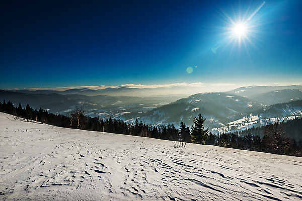 포토 JPG 해외이미지 나무 계절 여행 백그라운드 겨울 자연 하늘 휴가 스키 산 파노라마 풍경 경사 사람없음 파란색 우주 맑음 냉동 얼음 황혼 일몰 하이킹 추위 흰색 시골 숲 신비 언덕 서리 북쪽 내추럴 절정 눈내림 가문비나무 해외202008 눈덮임 해외포토 자연요소 식물 컬러 컨셉 레저 날씨 겨울스포츠 눈_날씨 촬영기법 노을 방향 생태계 파일형식