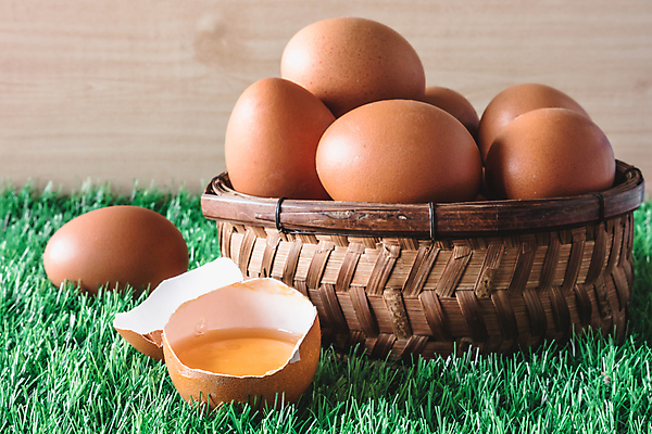 포토 JPG 해외이미지 음식 백그라운드 농업 재료 조류 주택 건강 요리 사람없음 목재 초록색 농장 갈색 바구니 주방 계란 치킨 껍질 시골 신선 그룹 시장 균열 닫기 볏짚 아침식사 유기농 날것 심플 노른자 흙더미 내추럴 단백질 단절 취급주의 해외202008 해외포토 나무 동물 웰빙 산업 컬러 모션 경고 건물 알 식사 흙 짚 닭고기요리 영양소 파일형식 더미