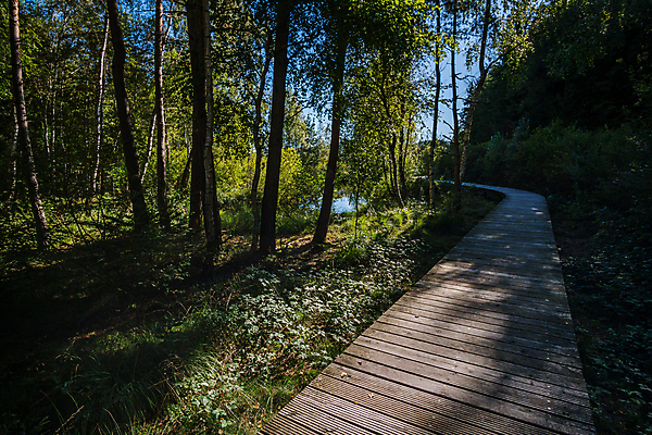 포토 JPG 해외이미지 자연 하이킹 가을 환상 해외202008 해외포토 계절 컨셉 레저 생태계 파일형식