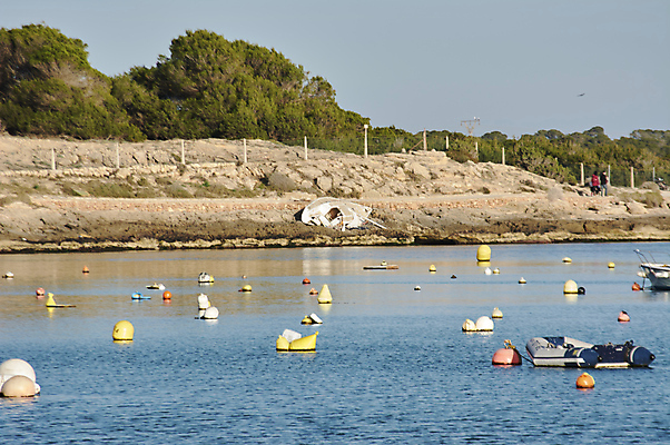 포토 JPG 해외이미지 해외202008 해외포토 파일형식