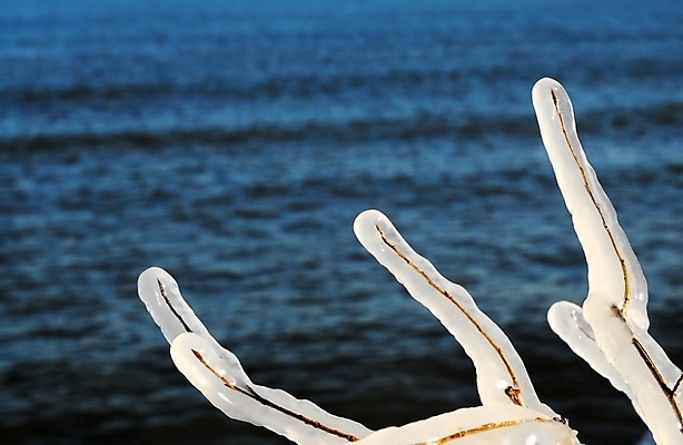 포토 JPG 해외이미지 나무 식물 계절 호수 파도 바다 줄기 겨울 자연 날씨 풍경 사람없음 야외 물 파란색 갈색 환경 냉동 얼음 추위 흰색 나뭇가지 막대기 크리스탈 묘사 서리 내추럴 고립 해외202008 해외포토 자연요소 컬러 광석 생태계 파일형식