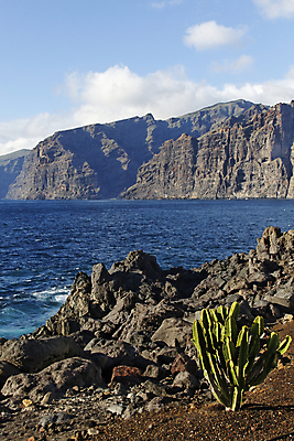 포토 JPG 해외이미지 죽음 로스앤젤레스 해외202008 해외포토 미국 파일형식