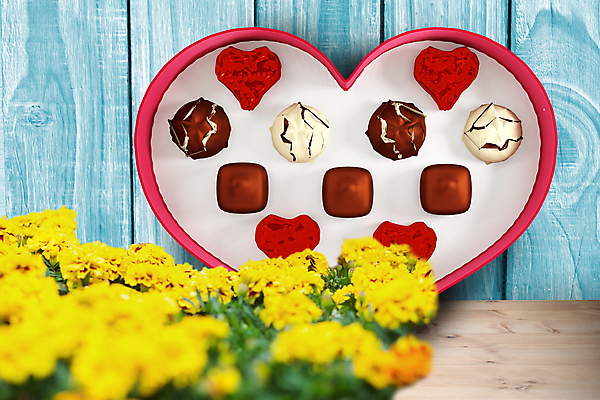 포토 JPG 해외이미지 꽃 발렌타인데이 선물 사람없음 초콜릿 하트상자 해외202008 해외포토 식물 데이이벤트 디저트 상자 파일형식