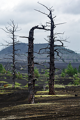 포토 JPG 해외이미지 나무 구름 여행 자연 하늘 산 풍경 사람없음 야외 여름 여행객 하이킹 바위 죽음 숲 화산 오르기 분화구 용암 안심 원뿔 내추럴 원정 재 해외202008 해외포토 자연요소 도형 식물 계절 모션 레저 육류 사람 돌_바위 생태계 파일형식