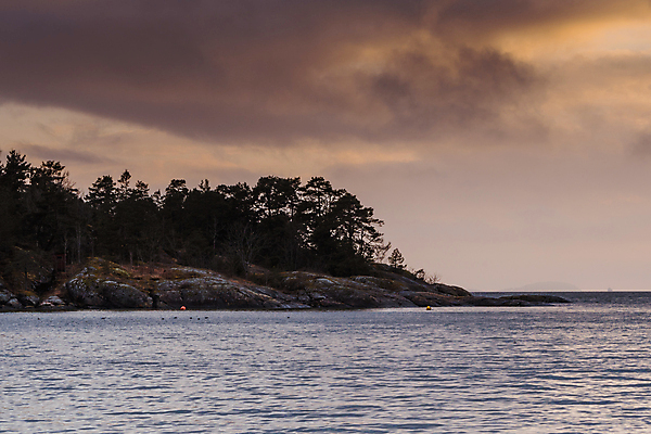 포토 JPG 해외이미지 나무 구름 실루엣 모래 여행 백그라운드 오렌지 자연 하늘 아침 노르웨이 풍경 사람없음 야외 초록색 물 파란색 빛 컬러풀 햇빛 태양 노란색 일출 환경 침묵 황혼 일몰 새벽 사막 안개 시골 저녁 숲 언덕 장면 뿌연 스칸디나비아 수평선 해외202008 해외포토 주간 자연요소 식물 유럽 컬러 과일 날씨 촬영기법 노을 소리 야간 생태계 파일형식