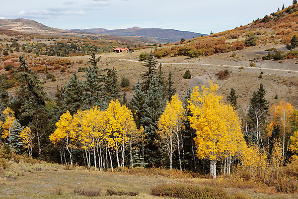 포토 JPG 해외이미지 구름 여행 잎 밭 오렌지 자연 하늘 날씨 산 풍경 사람없음 야외 초록색 파란색 태양 노란색 일출 달러 일몰 가을 흰색 붓 소나무 황금 씻기 숲 언덕 지역 드라마 내추럴 절정 콜로라도 화강암 해외202008 해외포토 자연요소 나무 식물 계절 컬러 돈 농업 과일 노을 미국 청결 암석 생태계 파일형식