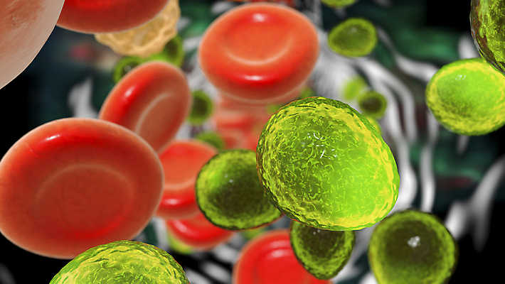 포토 JPG 해외이미지 과학 일러스트 현미경 사람없음 컬러풀 약 3D 질병 감염 전염 곰팡이 면역력 이스트 해외202008 해외포토 컬러 의학 실험기구 디지털합성 파일형식