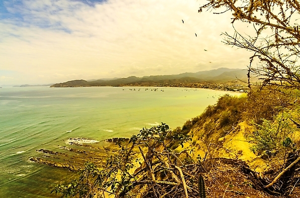 포토 JPG 해외이미지 공원 행복 야생동물 모래 파도 바다 여행 자연 하늘 휴가 풍경 사람없음 야외 파란색 도시풍경 태양 여행객 미국 짐 만 행운 태평양 에콰도르 남쪽 내추럴 방법 전국 파라다이스 해외202008 해외포토 자연요소 동물 공공시설 감정 컬러 컨셉 북아메리카 사람 도시 남아메리카 방향 생태계 파일형식