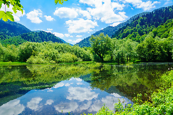 포토 JPG 해외이미지 나무 공원 유럽 호수 여행 백그라운드 자연 하늘 휴가 산 풍경 사람없음 초록색 물 여름 평화 숲 그림 몬테네그로 전국 해외202008 해외포토 자연요소 식물 계절 공공시설 나라 컬러 컨셉 생태계 파일형식