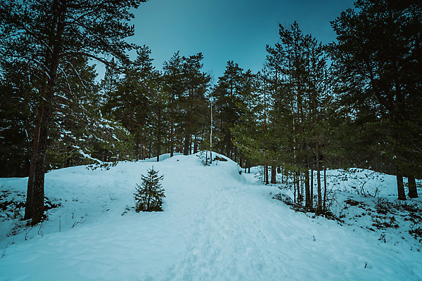 포토 JPG 해외이미지 나무 계절 유럽 도로 겨울 곡선 자연 날씨 산 노르웨이 핀란드 풍경 사람없음 야외 빨간색 얼음 추위 흰색 시골 소나무 고속도로 숲 북극 통로 빙하 서리 장면 북쪽 멀리 눈보라 방법 스칸디나비아 제설기 폭설 눈내림 해외202008 해외포토 자연요소 식물 나라 길 선 컬러 교통시설 눈_날씨 북유럽 자연재해 극지방 방향 생태계 제설 파일형식