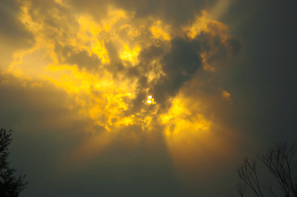 포토 JPG 해외이미지 나무 식물 구름 유럽 백그라운드 밭 자연 하늘 바람 날씨 풍경 초원 사람없음 야외 가로 초록색 여름 컬러풀 태양 평화 침묵 봄 성장 시골 신선 저녁 숲 밀 지역 폭풍 파라다이스 해외202008 해외포토 자연요소 계절 나라 컬러 컨셉 농업 곡류 소리 야간 생태계 파일형식
