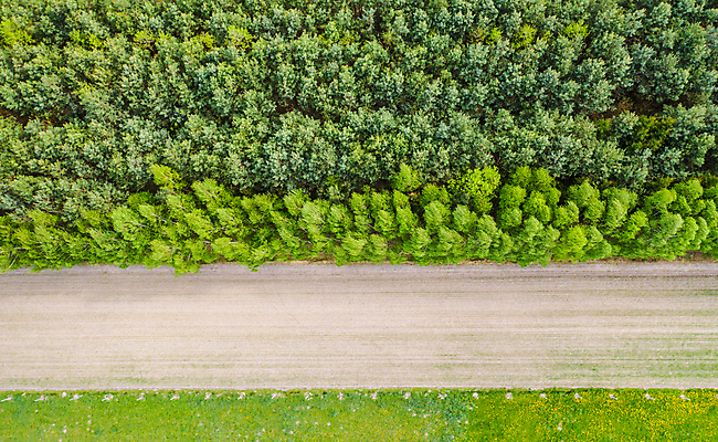 포토 JPG 해외이미지 나무 식물 계절 도로 음식 백그라운드 농업 채소 자연 거리 옥수수 사람없음 야외 가로 하이앵글 농장 노란색 수확 성장 농촌 신선 땅 밀 각도 폴란드 조감도 카피스페이스 해외202008 해외포토 유럽 산업 길 뷰포인트 컬러 교통시설 곡류 공백 시골 생태계 파일형식