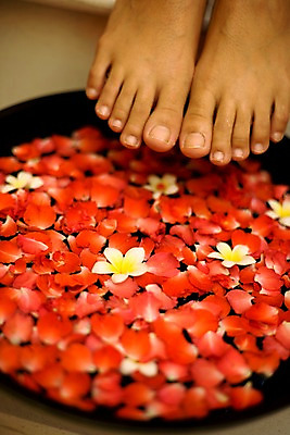 포토 JPG 주간 서양인 모델 해외기획촬영 꽃잎 여유 컬러 포즈 기획촬영 2009년태국 발 태국 휴식 실내 취미 신체부위 빨간색 뷰티 스파 욕실 화장실 플루메리아 족욕 대아 세숫대야 국내포토 자연요소 외국인 꽃 감정 아시아 컨셉 사람 내부 파일형식