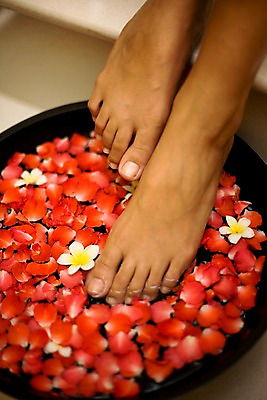 포토 JPG 주간 서양인 모델 해외기획촬영 여자 꽃잎 여유 컬러 포즈 기획촬영 2009년태국 태국 휴식 실내 사람 취미 빨간색 뷰티 스파 욕실 화장실 플루메리아 족욕 대아 세숫대야 여자만 국내포토 자연요소 외국인 꽃 감정 아시아 컨셉 내부 파일형식