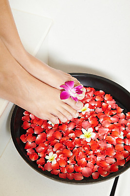 포토 JPG 서양인 모델 해외기획촬영 꽃잎 꽃 여유 포즈 기획촬영 2009년태국 발 태국 휴식 실내 취미 신체부위 뷰티 보라색 스파 욕실 화장실 플루메리아 호접란 족욕 대아 세숫대야 국내포토 외국인 식물 감정 아시아 컬러 컨셉 사람 내부 파일형식