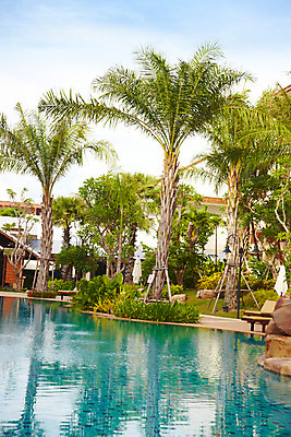 포토 JPG 주간 나무 구름 모델 해외기획촬영 해외 시설물 현대건축 건축 아시아 여유 외국문화 해외여행 여행 포즈 기획촬영 2009년태국 스포츠시설 해외건축 태국 하늘 리조트 휴식 수영장 태국문화 취미 사람없음 야외 야자수 동남아시아 휴양지 국내포토 자연요소 식물 동양문화 건축물 감정 나라 문화 스포츠 컨셉 장소 시설 파일형식