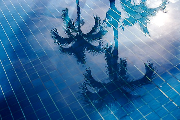 포토 JPG 나무 식물 해외기획촬영 해외 시설물 현대건축 건축 실루엣 나라 아시아 외국문화 해외여행 여행 기획촬영 2009년태국 스포츠시설 해외건축 태국 바닥 수영장 태국문화 물그림자 그림자 사람없음 물 야자수 반사 풀장 동남아시아 열대식물 타일 지명 국내포토 자연요소 동양문화 건축물 문화 스포츠 촬영기법 시설 파일형식