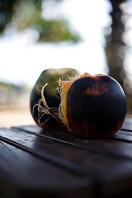 포토 JPG 나무 식물 해외기획촬영 해외 열매 나라 아시아 음식 외국문화 해외여행 여행 기획촬영 2009년태국 과일 태국 탁자 태국문화 사람없음 아웃포커스 야자수 동남아시아 두개 열대식물 열대과일 코코넛 야자열매 지명 국내포토 동양문화 문화 가구 2 촬영기법 파일형식