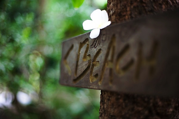 포토 JPG 나무 식물 해외기획촬영 문자 해외 기호 알파벳 영어 꽃 나라 화살표 아시아 외국문화 해외여행 여행 기획촬영 2009년태국 한송이 태국 안내 알림판 태국문화 근접촬영 해변 사람없음 아웃포커스 동남아시아 흰색 표지판 방향 위치 플루메리아 플랭지파니 길안내 지명 국내포토 1 동양문화 문화 바다 뷰포인트 컬러 촬영기법 송이 파일형식