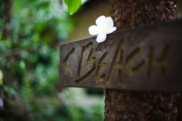 포토 JPG 나무 식물 해외기획촬영 문자 해외 기호 알파벳 영어 꽃 나라 화살표 아시아 외국문화 해외여행 여행 기획촬영 2009년태국 한송이 태국 안내 알림판 태국문화 근접촬영 해변 사람없음 아웃포커스 동남아시아 흰색 표지판 방향 위치 플루메리아 플랭지파니 길안내 지명 국내포토 1 동양문화 문화 바다 뷰포인트 컬러 촬영기법 송이 파일형식