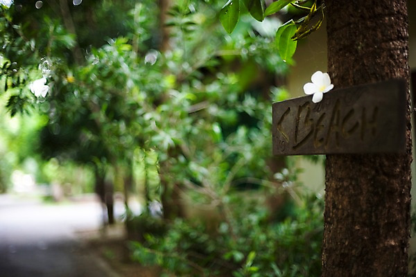 포토 JPG 주간 나무 식물 해외기획촬영 문자 해외 기호 알파벳 영어 꽃 나라 화살표 아시아 도로 길 외국문화 해외여행 여행 기획촬영 2009년태국 한송이 태국 안내 알림판 태국문화 해변 사람없음 야외 아웃포커스 동남아시아 흰색 표지판 방향 위치 플루메리아 플랭지파니 길안내 지명 국내포토 자연요소 1 동양문화 문화 바다 컬러 교통시설 촬영기법 송이 파일형식