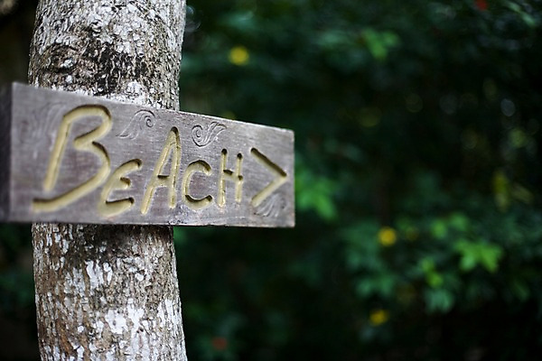 포토 JPG 나무 식물 해외기획촬영 문자 해외 기호 알파벳 영어 나라 화살표 아시아 외국문화 해외여행 여행 기획촬영 2009년태국 태국 안내 알림판 태국문화 해변 사람없음 아웃포커스 동남아시아 표지판 방향 위치 길안내 지명 국내포토 동양문화 문화 바다 촬영기법 파일형식