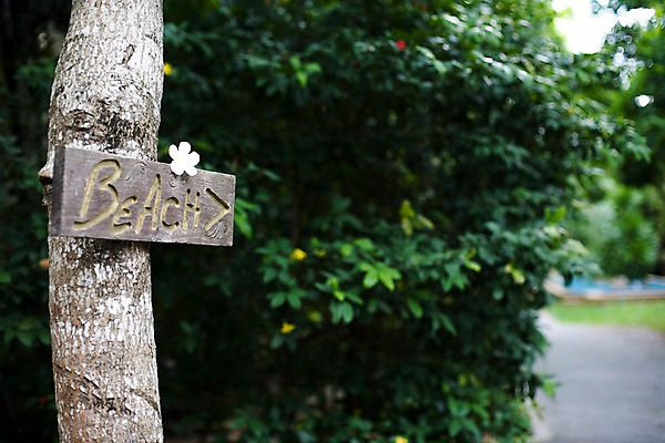 포토 JPG 주간 나무 식물 해외기획촬영 문자 해외 기호 알파벳 영어 꽃 나라 화살표 아시아 도로 길 외국문화 해외여행 여행 기획촬영 2009년태국 한송이 태국 안내 알림판 태국문화 해변 사람없음 야외 동남아시아 흰색 표지판 방향 위치 플루메리아 플랭지파니 길안내 지명 국내포토 자연요소 1 동양문화 문화 바다 컬러 교통시설 송이 파일형식