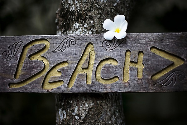 포토 JPG 나무 식물 해외기획촬영 문자 해외 기호 알파벳 영어 꽃 나라 화살표 아시아 외국문화 해외여행 여행 기획촬영 2009년태국 한송이 태국 안내 알림판 태국문화 근접촬영 해변 사람없음 동남아시아 흰색 표지판 방향 위치 플루메리아 플랭지파니 길안내 지명 국내포토 1 동양문화 문화 바다 뷰포인트 컬러 송이 파일형식