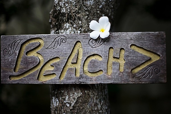 포토 JPG 나무 식물 해외기획촬영 문자 해외 기호 알파벳 영어 꽃 나라 화살표 아시아 외국문화 해외여행 여행 기획촬영 2009년태국 한송이 태국 안내 알림판 태국문화 근접촬영 해변 사람없음 동남아시아 흰색 표지판 방향 위치 플루메리아 플랭지파니 길안내 지명 국내포토 1 동양문화 문화 바다 뷰포인트 컬러 송이 파일형식