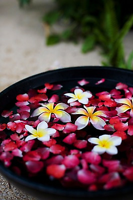 포토 JPG 식물 해외기획촬영 그릇 꽃잎 꽃 나라 아시아 외국문화 기획촬영 2009년태국 태국 태국문화 근접촬영 사람없음 아웃포커스 장식 세로 물 컬러풀 동남아시아 스파 오브젝트 스파용품 플루메리아 족욕 지명 프랜지파니 국내포토 자연요소 동양문화 식기 문화 뷰포인트 컬러 촬영기법 파일형식
