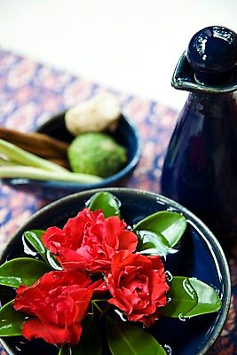 포토 JPG 주간 식물 해외기획촬영 그릇 꽃 나라 아시아 외국문화 기획촬영 2009년태국 태국 나뭇잎 태국문화 근접촬영 사람없음 아웃포커스 빨간색 세로 물 동남아시아 스파 마사지 오브젝트 스파용품 마사지용품 지명 국내포토 자연요소 동양문화 식기 문화 뷰포인트 컬러 잎 촬영기법 파일형식