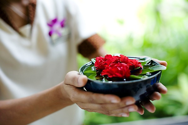 포토 JPG 주간 해외기획촬영 손 꽃 나라 아시아 외국문화 생활용품 기획촬영 2009년태국 태국 나뭇잎 태국문화 근접촬영 아웃포커스 신체부위 가로 빨간색 동남아시아 스파 마사지 오브젝트 스파용품 마사지용품 지명 국내포토 자연요소 식물 동양문화 문화 뷰포인트 컬러 잎 촬영기법 사람 파일형식