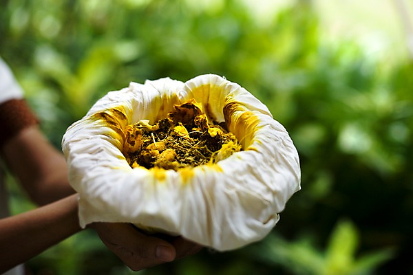 포토 JPG 주간 해외기획촬영 나라 아시아 외국문화 기획촬영 2009년태국 태국 태국문화 근접촬영 아웃포커스 가로 동남아시아 스파 마사지 허브 오브젝트 스파용품 마사지용품 허브볼 지명 국내포토 자연요소 식물 동양문화 문화 뷰포인트 촬영기법 아로마테라피 파일형식