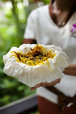 포토 JPG 주간 해외기획촬영 꽃 나라 아시아 외국문화 기획촬영 2009년태국 태국 태국문화 아웃포커스 세로 동남아시아 스파 마사지 허브 오브젝트 스파용품 플루메리아 마사지용품 허브볼 지명 국내포토 자연요소 식물 동양문화 문화 촬영기법 아로마테라피 파일형식