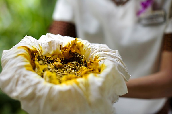 포토 JPG 주간 해외기획촬영 꽃 나라 아시아 외국문화 기획촬영 2009년태국 태국 태국문화 근접촬영 아웃포커스 가로 동남아시아 스파 마사지 허브 오브젝트 스파용품 플루메리아 마사지용품 허브볼 지명 국내포토 자연요소 식물 동양문화 문화 뷰포인트 촬영기법 아로마테라피 파일형식