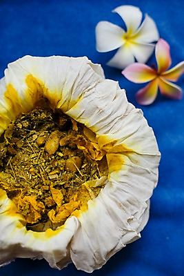 포토 JPG 주간 해외기획촬영 꽃 나라 아시아 외국문화 기획촬영 2009년태국 태국 태국문화 근접촬영 사람없음 아웃포커스 세로 동남아시아 스파 흰색 마사지 허브 오브젝트 스파용품 플루메리아 마사지용품 허브볼 지명 프랜지파니 국내포토 자연요소 식물 동양문화 문화 뷰포인트 컬러 촬영기법 아로마테라피 파일형식