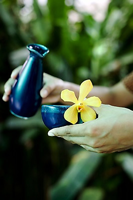 포토 JPG 주간 해외기획촬영 그릇 손 꽃 나라 아시아 외국문화 생활용품 기획촬영 2009년태국 태국 태국문화 신체부위 세로 노란색 동남아시아 스파 마사지 도자기 오브젝트 스파용품 마사지용품 호리병 지명 국내포토 자연요소 식물 동양문화 식기 문화 컬러 병_용기 사람 파일형식