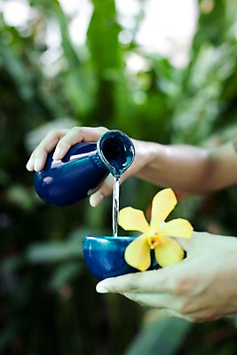 포토 JPG 주간 해외기획촬영 그릇 손 꽃 나라 아시아 외국문화 생활용품 기획촬영 2009년태국 태국 태국문화 신체부위 세로 노란색 동남아시아 스파 마사지 도자기 오일 오브젝트 스파용품 마사지용품 호리병 지명 국내포토 자연요소 식물 동양문화 식기 문화 음식 컬러 병_용기 사람 화장품 파일형식