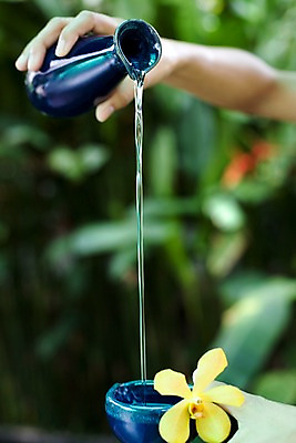 포토 JPG 주간 식물 해외기획촬영 그릇 손 꽃 나라 아시아 외국문화 생활용품 기획촬영 2009년태국 태국 태국문화 신체부위 세로 노란색 동남아시아 스파 마사지 도자기 오일 오브젝트 스파용품 마사지용품 호리병 지명 국내포토 자연요소 동양문화 식기 문화 음식 컬러 병_용기 사람 화장품 파일형식