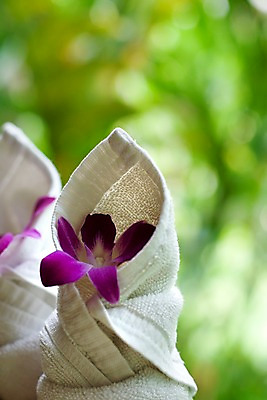 포토 JPG 주간 식물 해외기획촬영 꽃 나라 아시아 컬러 외국문화 기획촬영 2009년태국 태국 태국문화 근접촬영 사람없음 아웃포커스 세로 수건 동남아시아 스파 오브젝트 스파용품 덴파레 양난 양란 지명 국내포토 자연요소 동양문화 문화 뷰포인트 촬영기법 위생용품 난초 파일형식