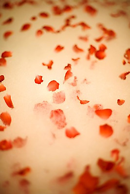 포토 JPG 식물 해외기획촬영 꽃잎 꽃 나라 컬러 기획촬영 2009년태국 태국 실내 근접촬영 사람없음 아웃포커스 장식 빨간색 세로 동남아시아 거품 오브젝트 거품목욕 지명 국내포토 아시아 뷰포인트 촬영기법 내부 목욕 파일형식