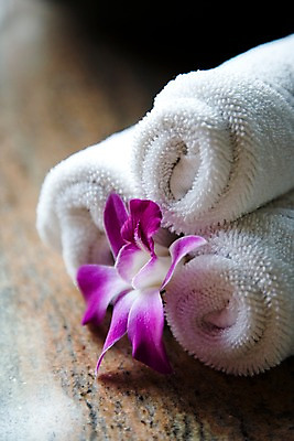 포토 JPG 주간 식물 해외기획촬영 꽃 나라 컬러 기획촬영 2009년태국 태국 실내 근접촬영 사람없음 아웃포커스 세로 수건 보라색 동남아시아 스파 오브젝트 스파용품 덴파레 양난 양란 지명 국내포토 자연요소 아시아 뷰포인트 촬영기법 내부 위생용품 난초 파일형식