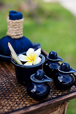 포토 JPG 주간 식물 해외기획촬영 그릇 꽃 나라 생활용품 기획촬영 2009년태국 태국 근접촬영 사람없음 야외 아웃포커스 세로 동남아시아 스파 도자기 오브젝트 스파용품 플루메리아 허브볼 지명 프랜지파니 국내포토 자연요소 식기 아시아 뷰포인트 촬영기법 아로마테라피 파일형식