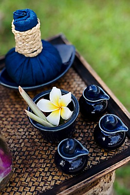 포토 JPG 주간 식물 해외기획촬영 그릇 꽃 나라 생활용품 기획촬영 2009년태국 태국 사람없음 야외 아웃포커스 세로 동남아시아 스파 도자기 오브젝트 스파용품 플루메리아 허브볼 지명 프랜지파니 국내포토 자연요소 식기 아시아 촬영기법 아로마테라피 파일형식