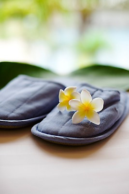 포토 JPG 주간 해외기획촬영 꽃잎 꽃 기획촬영 2009년태국 신발 잎 태국 나뭇잎 슬리퍼 실내 근접촬영 사람없음 아웃포커스 장식 세로 동남아시아 오브젝트 한켤레 플루메리아 국내포토 자연요소 식물 1 아시아 뷰포인트 촬영기법 내부 파일형식