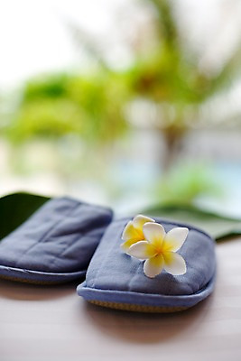 포토 JPG 주간 해외기획촬영 꽃잎 꽃 기획촬영 2009년태국 신발 잎 태국 슬리퍼 실내 근접촬영 사람없음 아웃포커스 장식 세로 동남아시아 오브젝트 한켤레 플루메리아 국내포토 자연요소 식물 1 아시아 뷰포인트 촬영기법 내부 파일형식